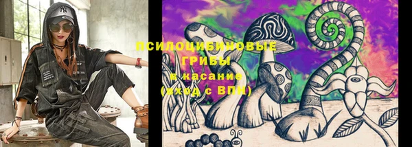 PSILOCYBIN Алексин