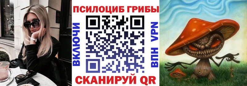 закладка  Сунжа  Псилоцибиновые грибы прущие грибы 