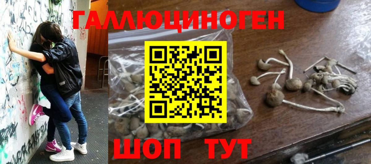 Псилоцибиновые грибы Magic Shrooms  Вход с VPN  Сунжа  Галлюциногенные грибы Magic Shrooms 